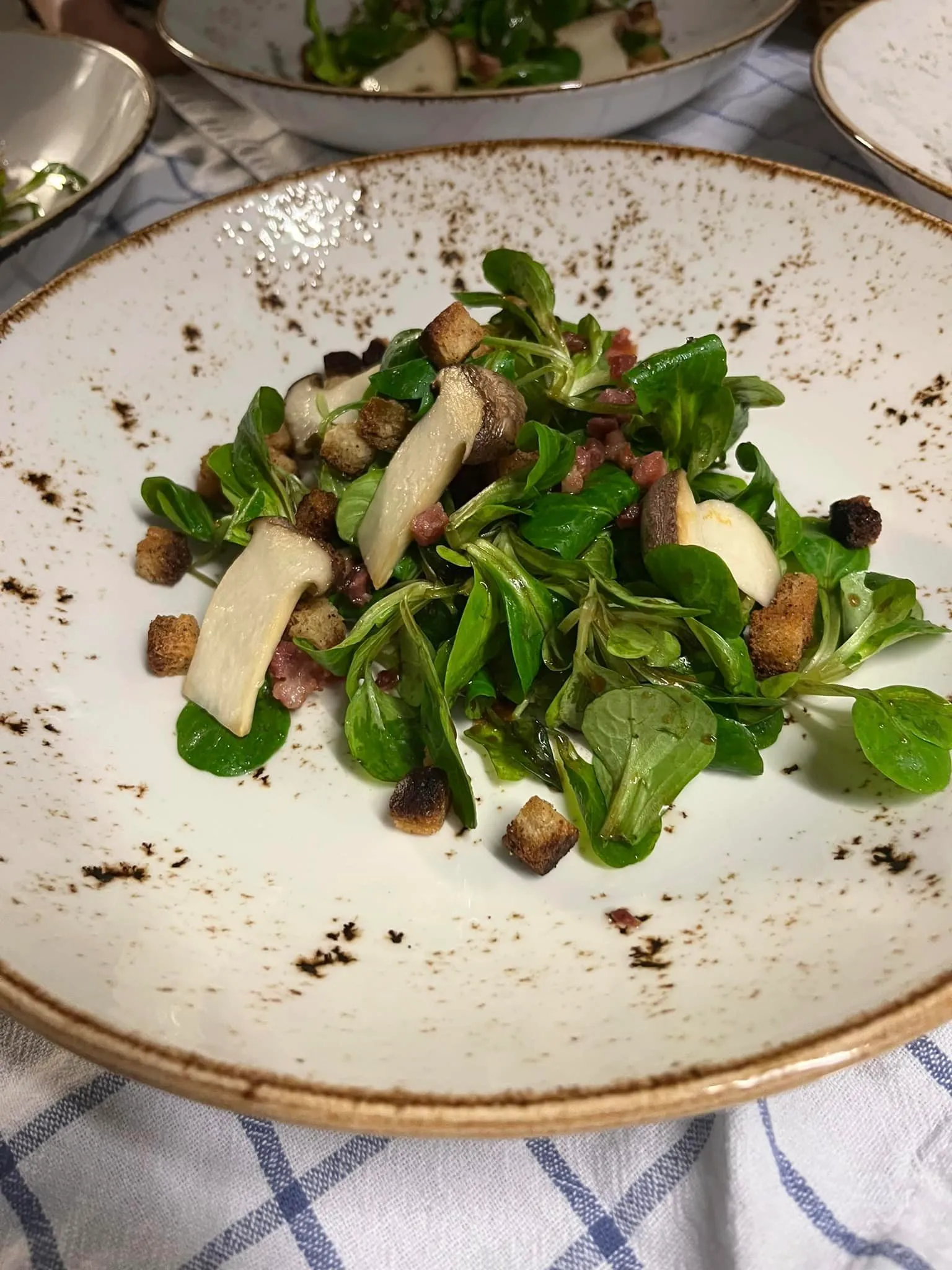 Festland – Restaurant & Vinothek – ein Tellergericht, das wie ein Feldsalat mit Pilzen, Speckstückchen und Croutons aussieht.